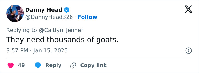 Tweet reply to Caitlyn Jenner suggesting goats to prevent LA wildfires tragedy. Tweet reply to Caitlyn Jenner suggesting goats to prevent LA wildfires tragedy.