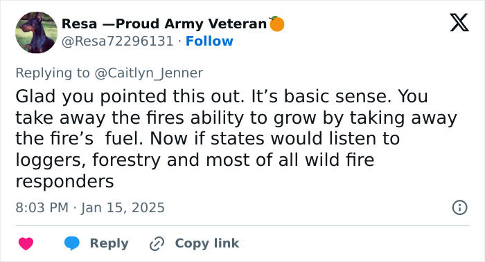 Tweet replying to Caitlyn Jenner discussing LA wildfires, fire growth, and the role of logging and forestry in prevention. Tweet replying to Caitlyn Jenner discussing LA wildfires, fire growth, and the role of logging and forestry in prevention.