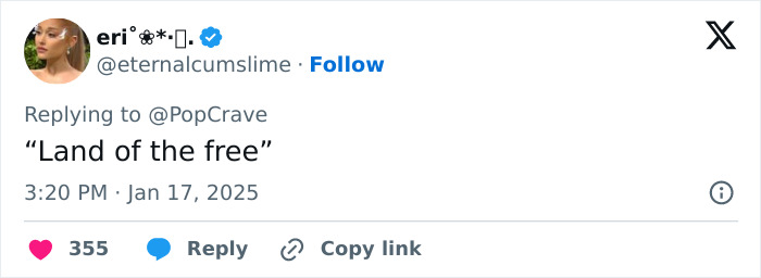 Twitter reply saying "Land of the free" amidst TikTok ban discussions. Twitter reply saying "Land of the free" amidst TikTok ban discussions.