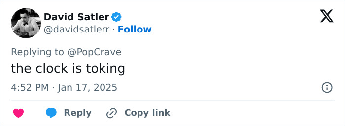 Tweet by David Satler mentioning TikTok amid ban controversy. Tweet by David Satler mentioning TikTok amid ban controversy.