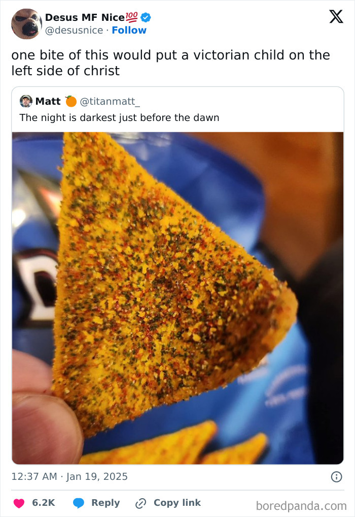 Close-up of a seasoned chip in a humorous tweet about surviving a long January.