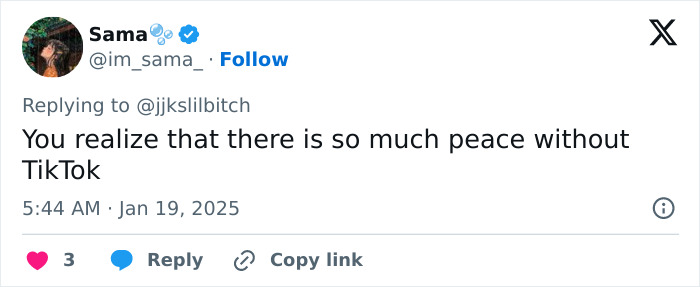 Tweet by a user discussing peace experienced without TikTok amidst a US ban. Tweet by a user discussing peace experienced without TikTok amidst a US ban.