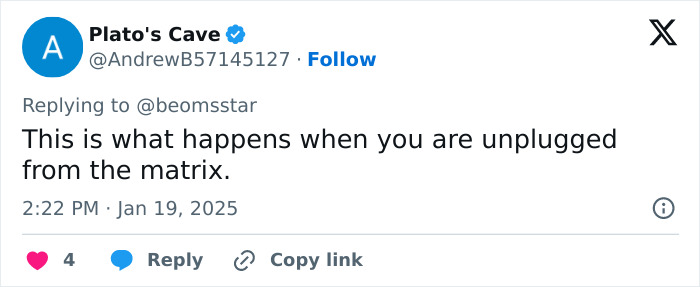 Tweet reacts to US TikTok ban, mentions being "unplugged from the matrix," with 4 likes and timestamp of Jan 19, 2025. Tweet reacts to US TikTok ban, mentions being "unplugged from the matrix," with 4 likes and timestamp of Jan 19, 2025.