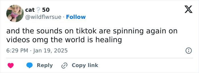 "Hasn’t Even Been A Day": People In Disbelief As TikTok Is Back Online "Hasn’t Even Been A Day": People In Disbelief As TikTok Is Back Online