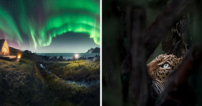 31 Best Shots By Photographers Winning The 2024 Artist Gallery Awards