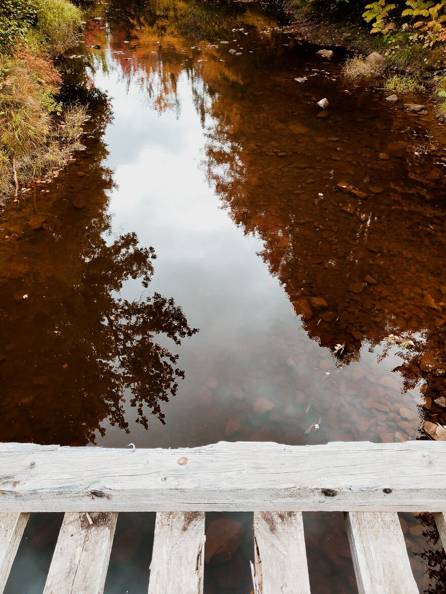 Here Are 19 Random Photos From My Camera Roll