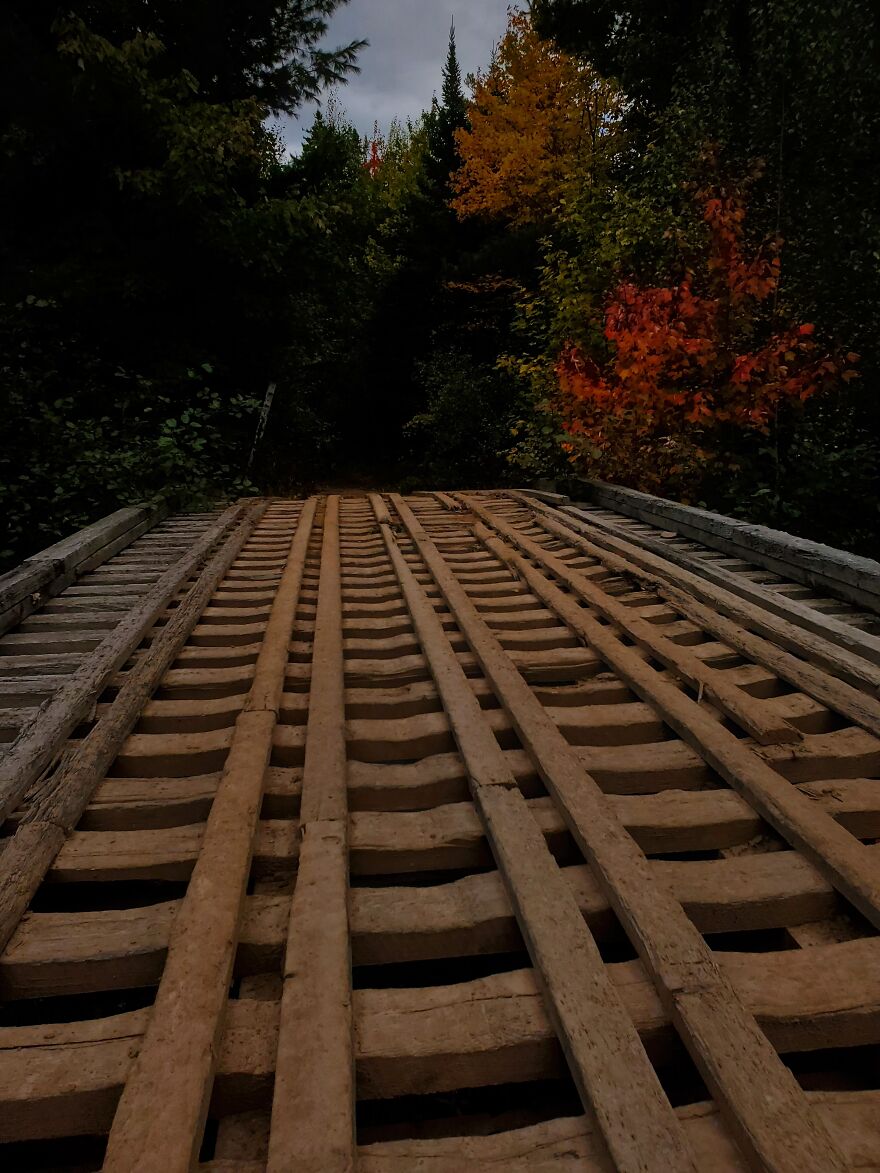 Here Are 19 Random Photos From My Camera Roll