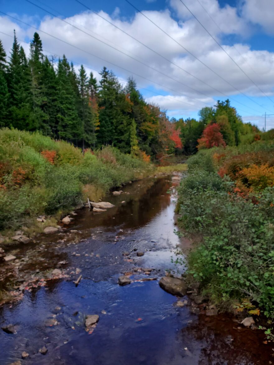 Here Are 19 Random Photos From My Camera Roll