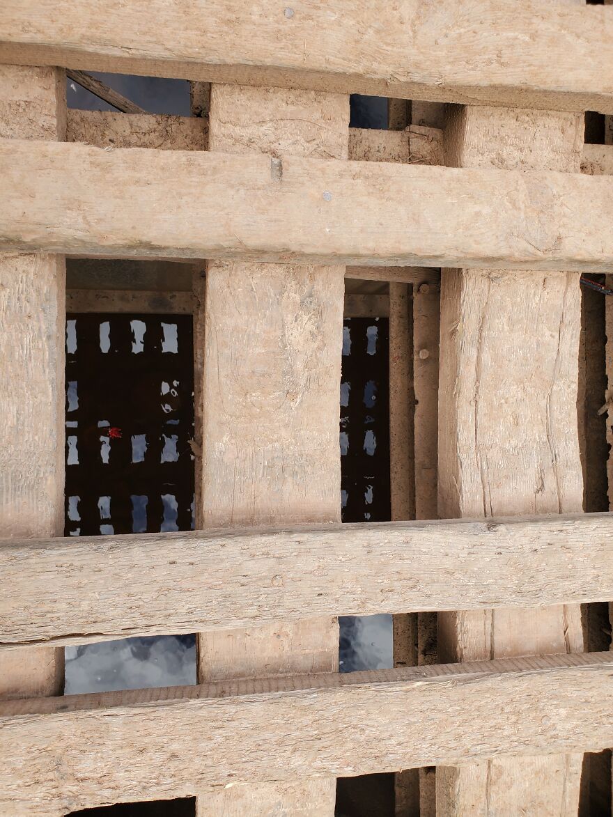 Here Are 19 Random Photos From My Camera Roll