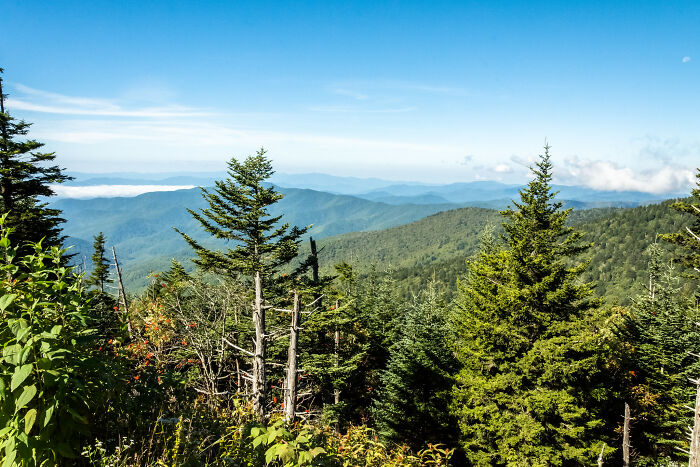 Stunning mountain views with lush green trees on a clear day in one of the states.