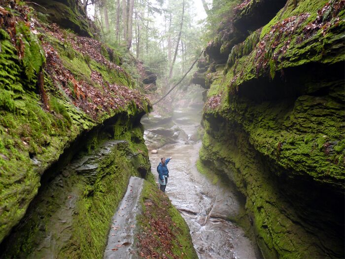 Person standing in a moss-covered canyon with amazing views in a forest setting.