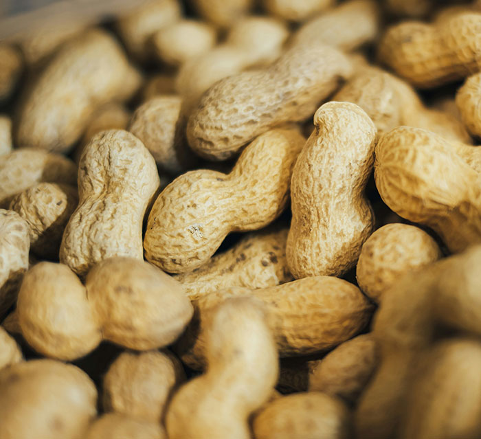 Peanuts in shells, highlighting food safety concerns in unwashed blender usage. Peanuts in shells, highlighting food safety concerns in unwashed blender usage.