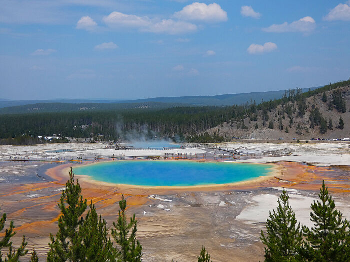 Amazing view of Grand Prismatic Spring at Yellowstone, showcasing vibrant colors against a forest backdrop.