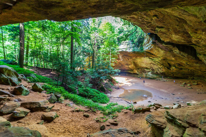 Cave overlooking a forest and sandy area with trees in Amazing Views States setting.