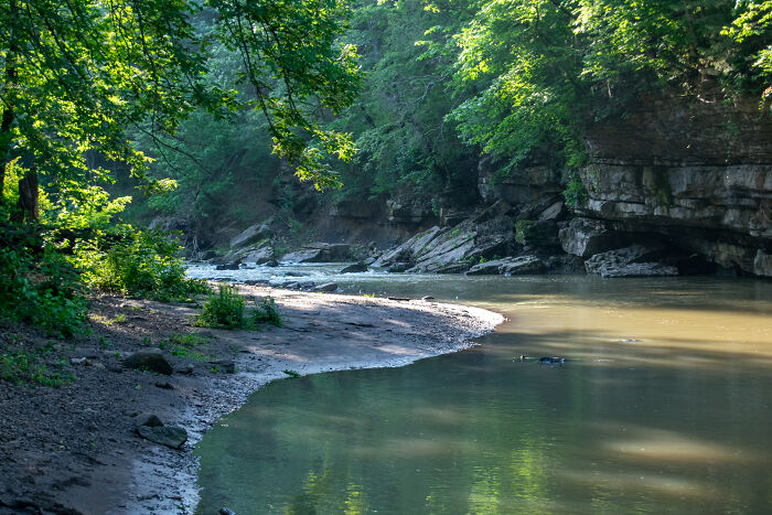 Serene river view with lush green trees and rocky banks, showcasing amazing views in a natural setting.