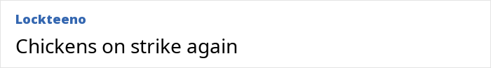 Text post humorously commenting on record-high egg prices in the US: "Chickens on strike again. Text post humorously commenting on record-high egg prices in the US: "Chickens on strike again.