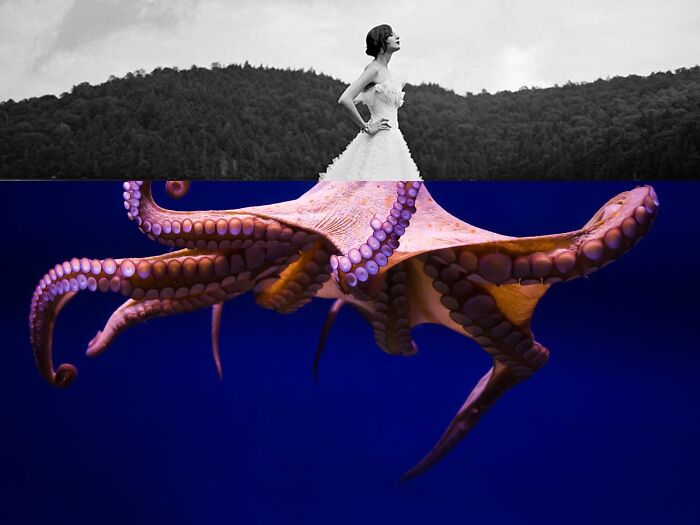 "Collages Of Inspiration" By Nataliya Katelnitska