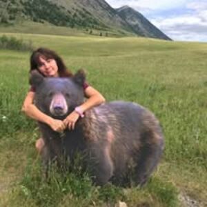 traceyosterland avatar