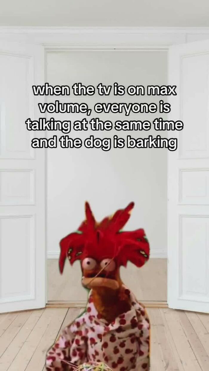 Muppet character looking overwhelmed with text about loud TV, people talking, and a barking dog, humor coping mechanism post.