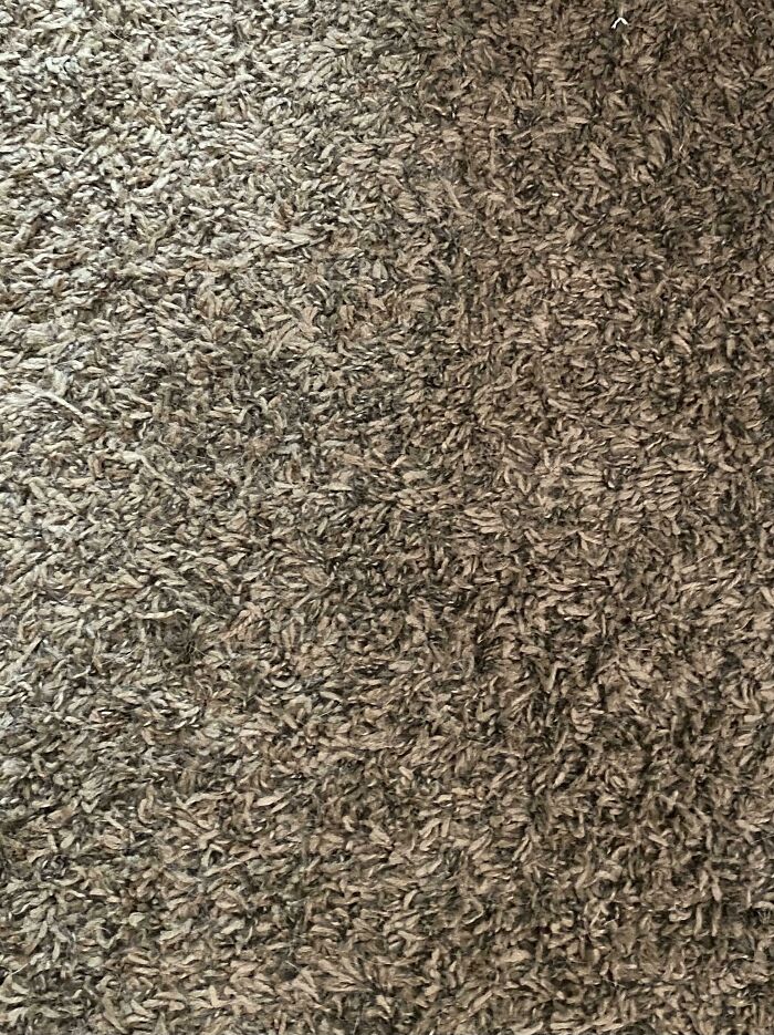 I Almost Stepped On It