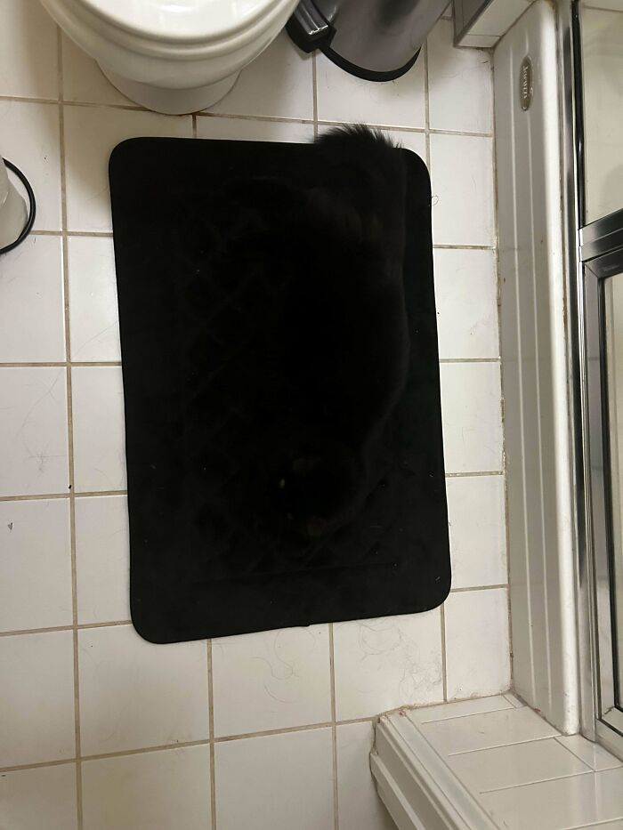 I Was Told To Post My Sentient Bath Mat Here
