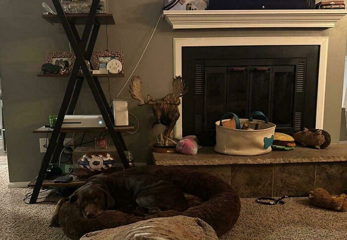 Thought I Lost Him…