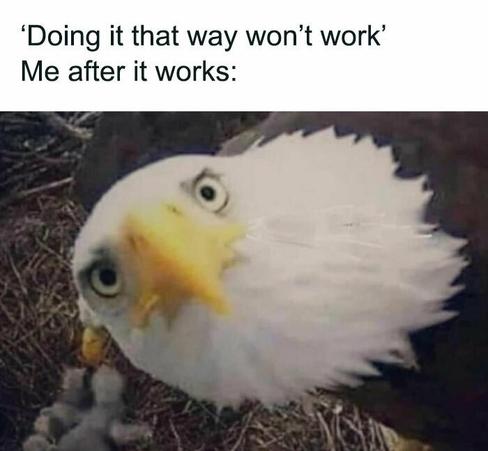 Eagle looking surprised with meme text about success, fitting hilarious posts for people using humor as a coping mechanism.