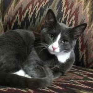 heatherjhemphill avatar