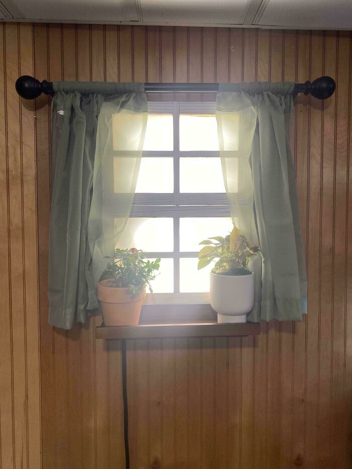 DIY project with plants on a window ledge, framed by wooden panels and sheer green curtains.