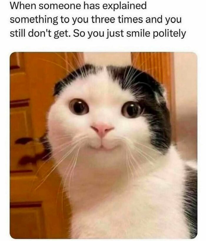 Cat with a confused smile representing humor as a coping mechanism in funny relatable meme post.
