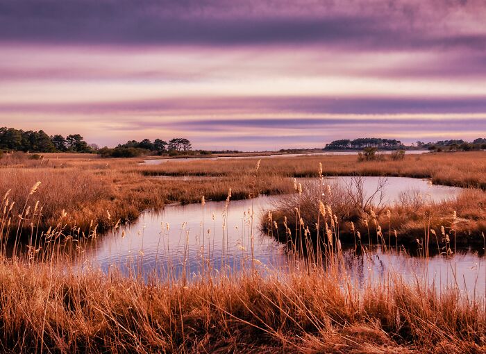 Stunning state landscape with winding river and golden marsh under a purple sky, showcasing amazing views.