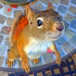 nicholas_hughes avatar