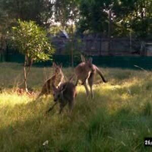 terri_rickert avatar