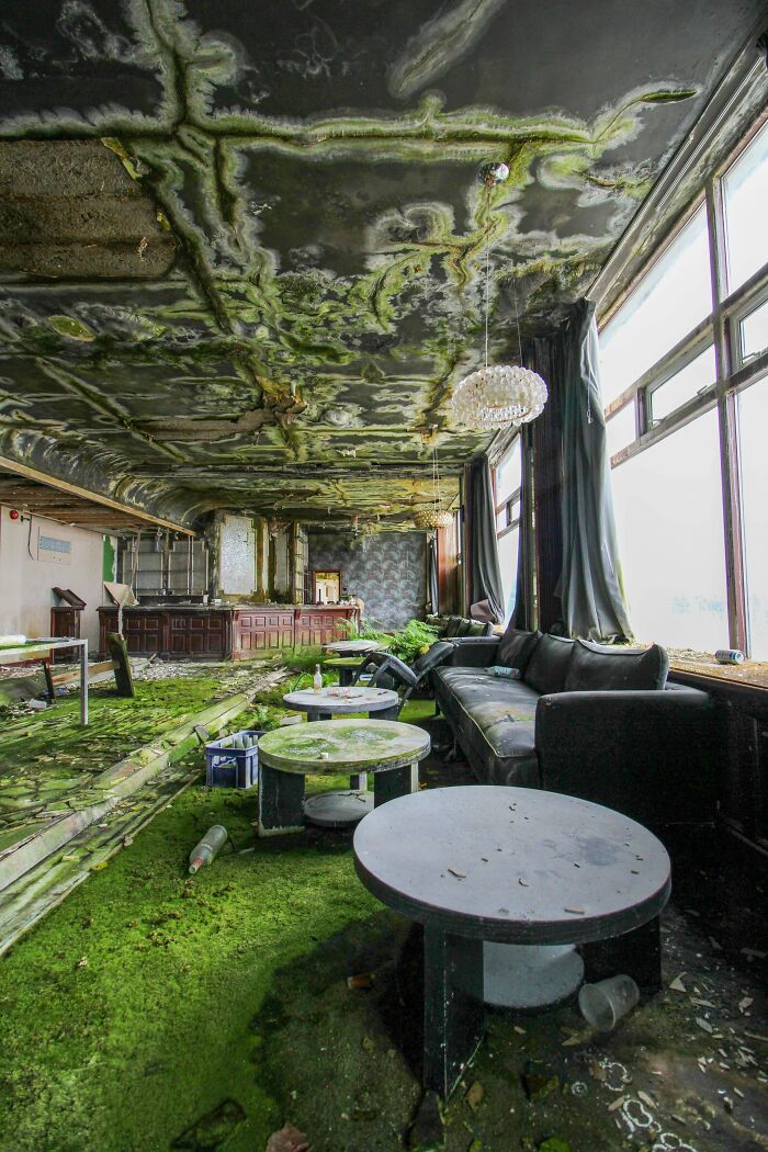 Abandoned room with moss-covered floor and ceiling, highlighting fascinating decay and nature's takeover.