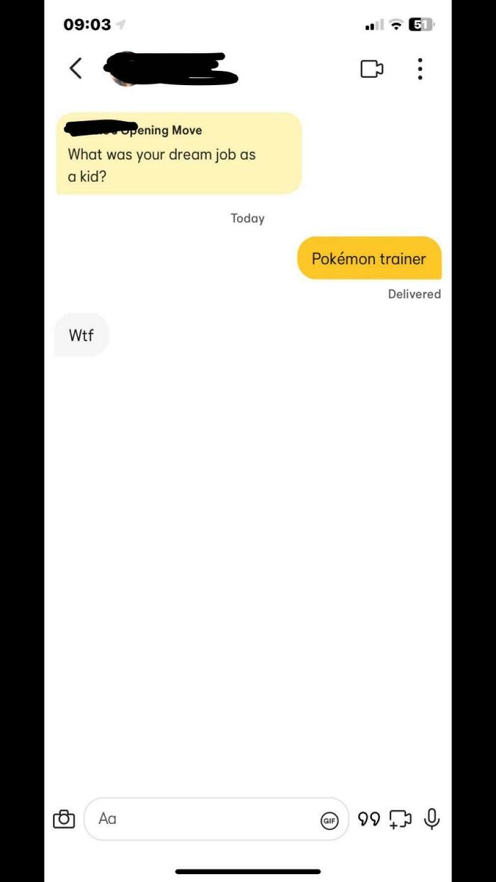 Chaotic dating app message exchange about dream job as Pokémon trainer.