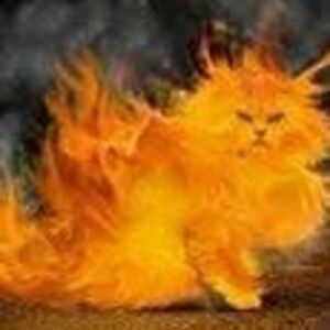 siobhancostello96 avatar