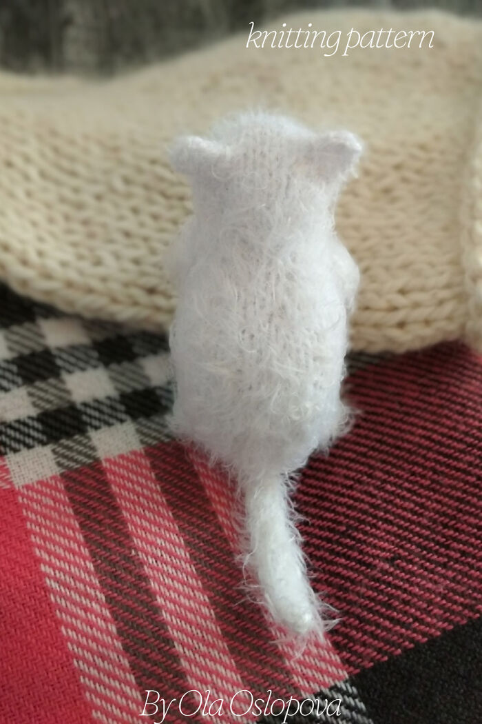 My Knitted Realistic Kittens (10 Pics) My Knitted Realistic Kittens (10 Pics)