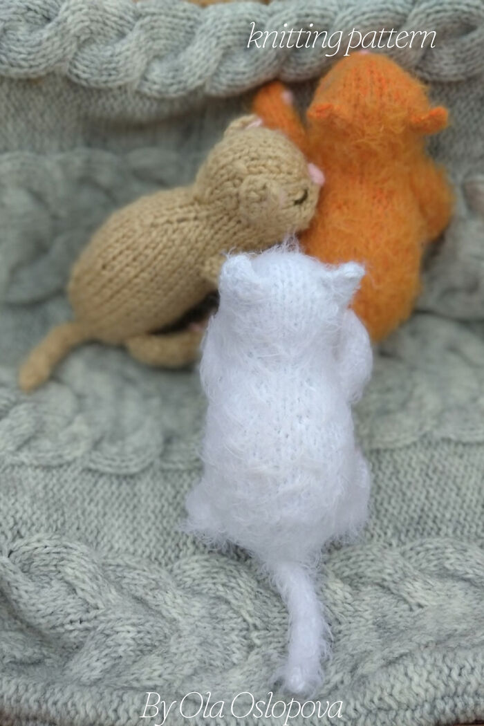 My Knitted Realistic Kittens (10 Pics) My Knitted Realistic Kittens (10 Pics)