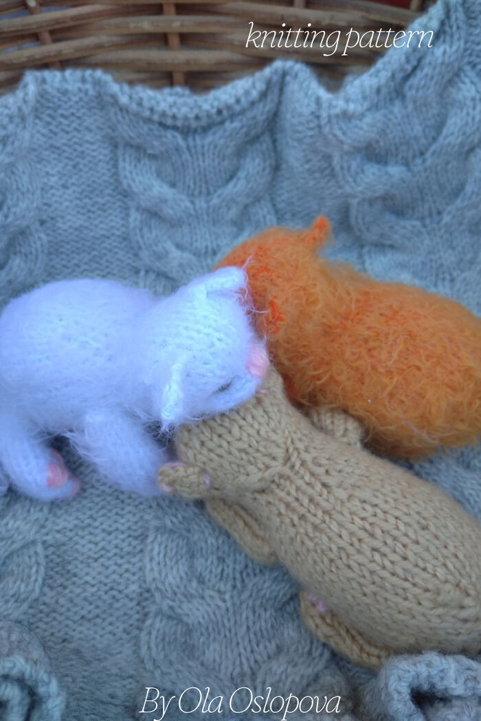 My Knitted Realistic Kittens (10 Pics) My Knitted Realistic Kittens (10 Pics)