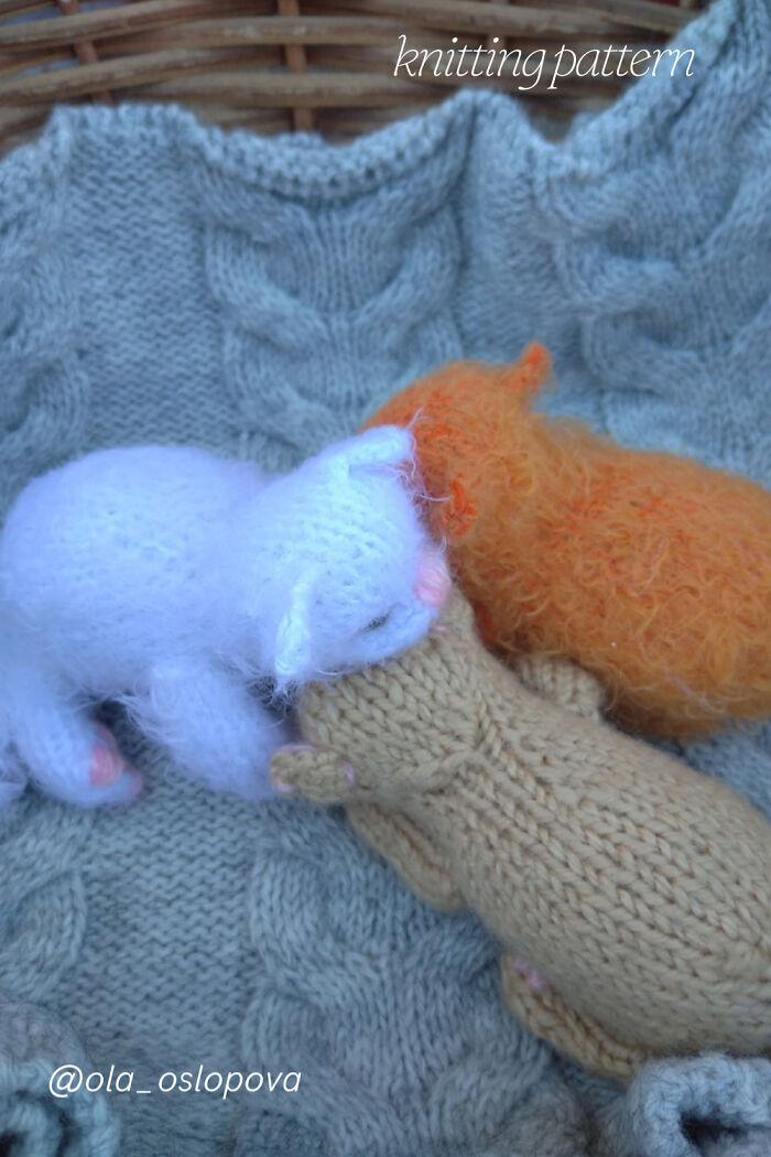 My Knitted Realistic Kittens (10 Pics) My Knitted Realistic Kittens (10 Pics)