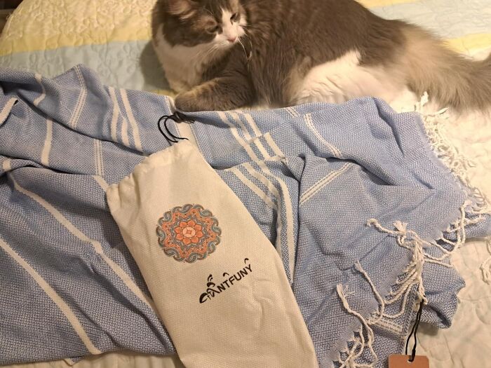 Cozy cat on a bed with travel essentials including a blue striped blanket and ornate pouch.