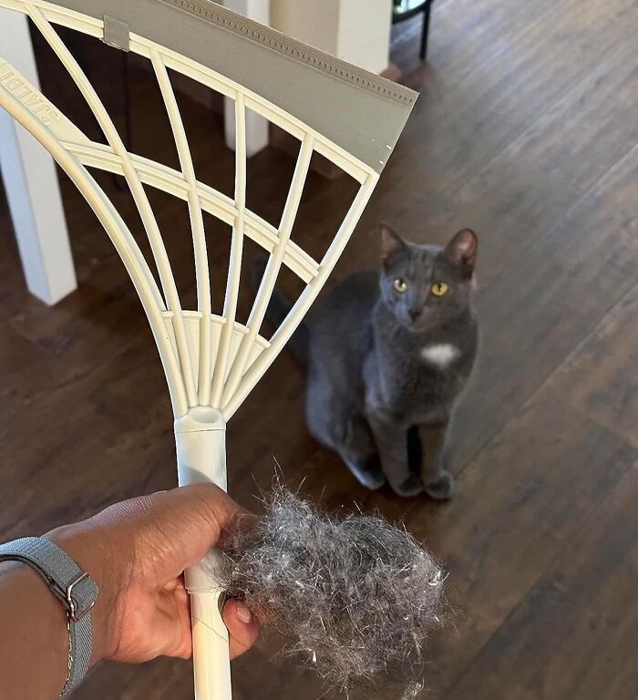 A hand holds a rake with fur, a hack for easy cleaning, while a gray cat watches from the wooden floor.