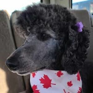 rastrandberg2 avatar