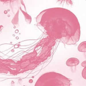 gisellatorres avatar