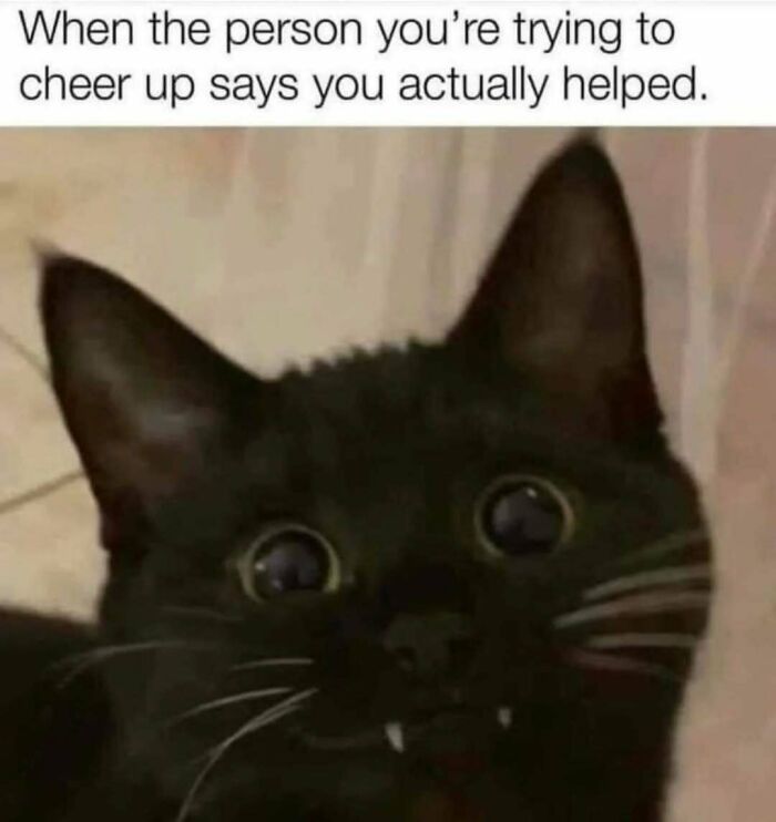 Black cat with wide eyes and small fangs expressing surprise in a hilarious post about humor as a coping mechanism.