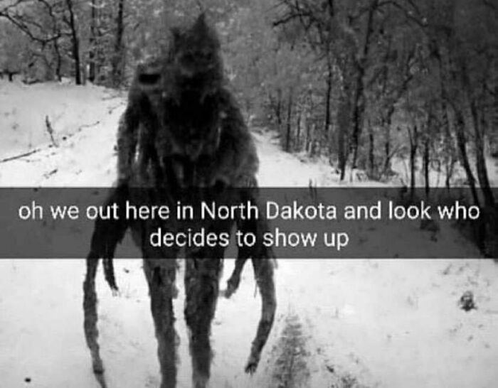 Creature in snowy North Dakota woods with humorous meme text overlay, "Oh we out here in North Dakota and look who decides to show up."