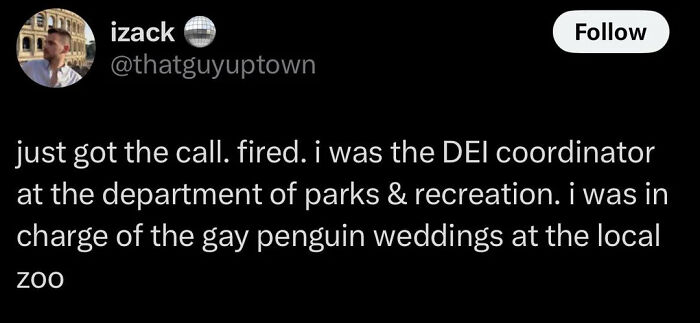 Tweet screenshot showing a humorous unusual sentence about being fired as a DEI coordinator for gay penguin weddings at a local zoo.