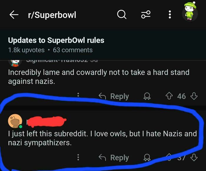 Reddit comment about loving owls but hating Nazis and sympathizers, shared in a thread about SuperbOwl rules updates.