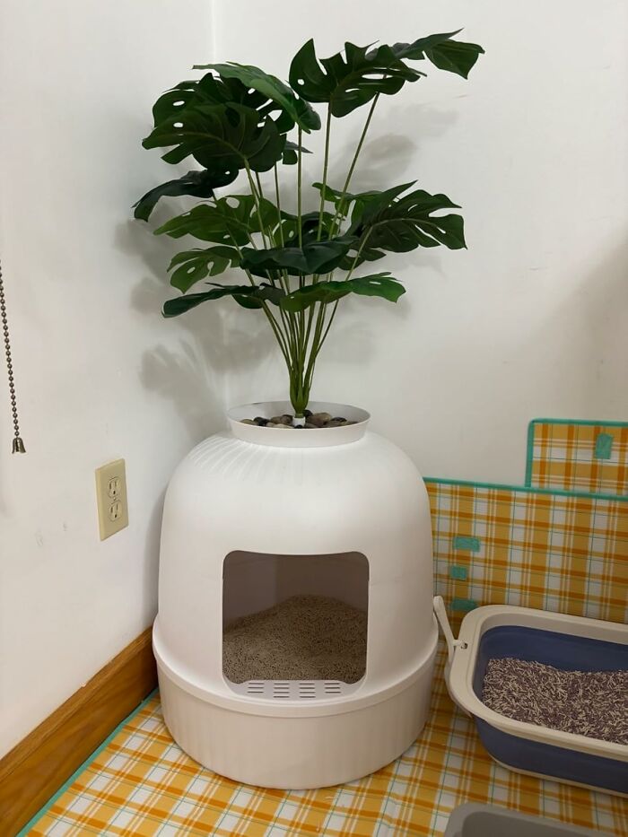 Indoor plant in a white decorative pot with hidden storage, cleverly banishing eyesores from your home space.