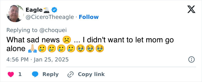 Devastating Update About Pregnant Woman On Life Support: The Baby Only Lives Less Than 24 Hours Devastating Update About Pregnant Woman On Life Support: The Baby Only Lives Less Than 24 Hours